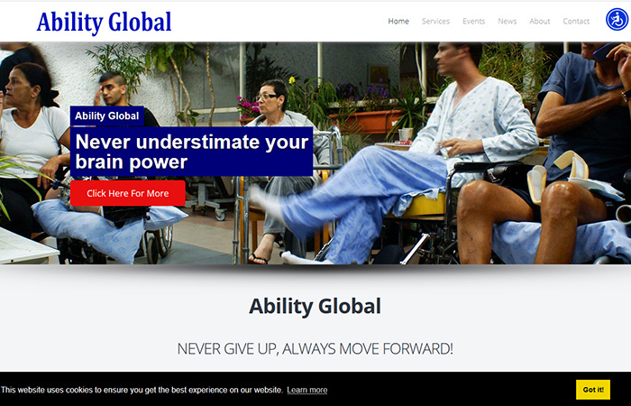 Ability Global Network (USA)