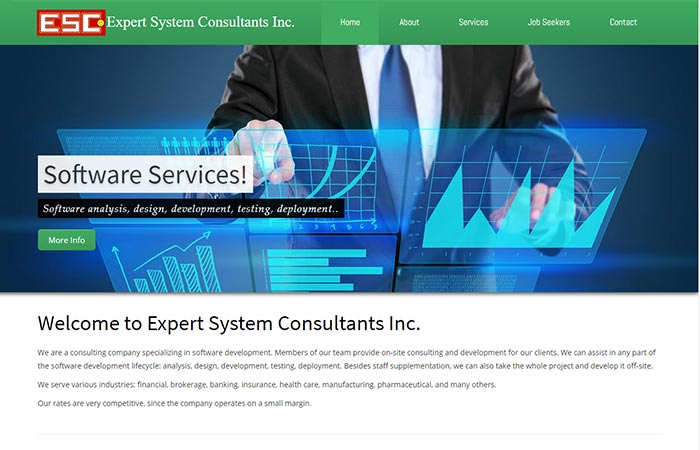 Expert System Consultants Inc. (USA)